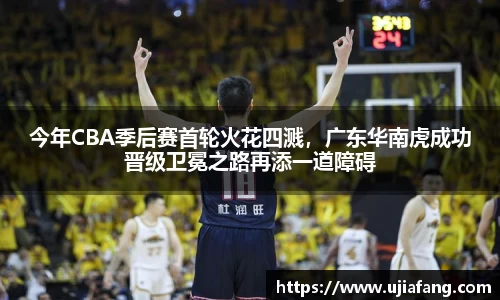 LD乐动官网