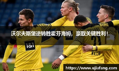 LD乐动网址