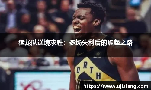 LD乐动app