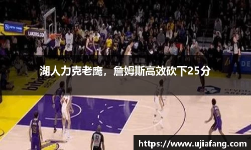 LD乐动网址