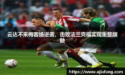 LD乐动网址
