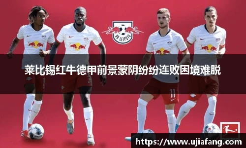 LD乐动app
