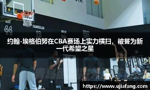 LD乐动官网