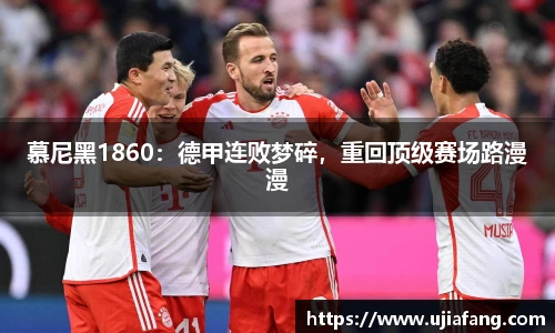 LD乐动官网
