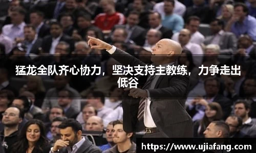 LD乐动官网