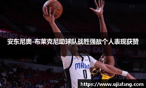 LD乐动官网