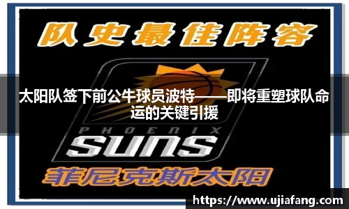 LD乐动官网