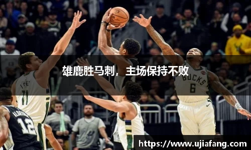 LD乐动官网