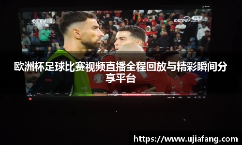 LD乐动官网