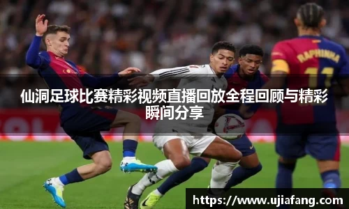 LD乐动注册