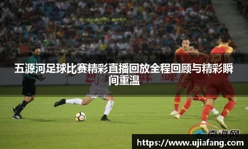 LD乐动官网