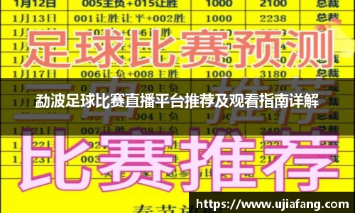 LD乐动官网