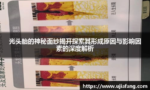光头胎的神秘面纱揭开探索其形成原因与影响因素的深度解析