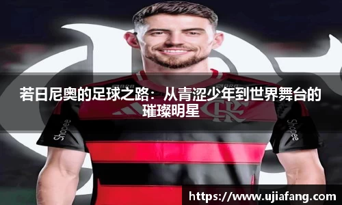 LD乐动官网