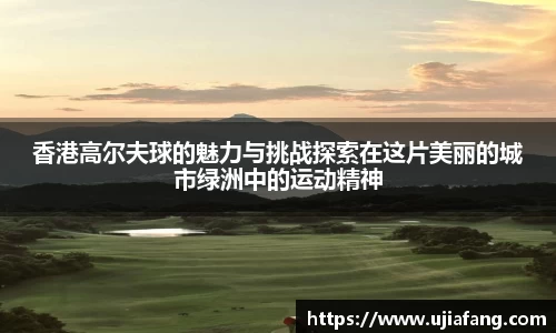 LD乐动官网