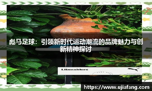 LD乐动网址