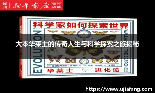 LD乐动官网