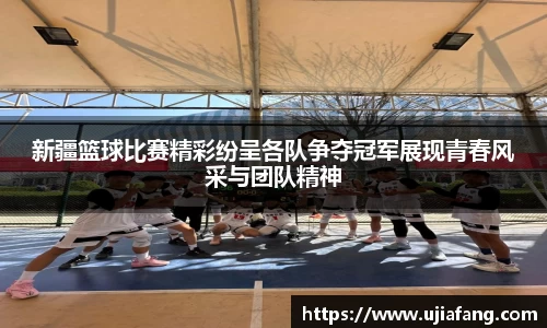 LD乐动app