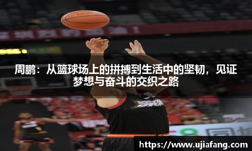 LD乐动app