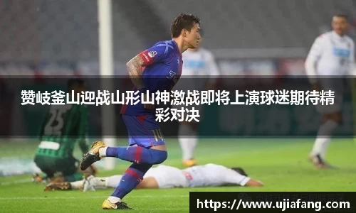 LD乐动app